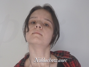 Nildachowanec