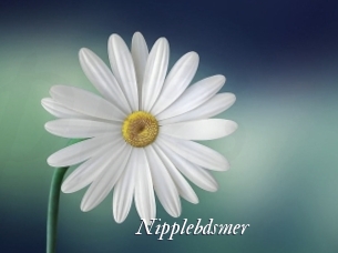 Nipplebdsmer