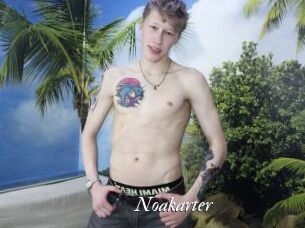 Noakarter