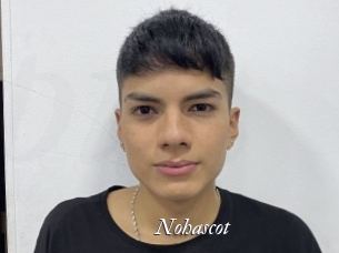 nohascot Partouze