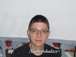 Norbertobadzso