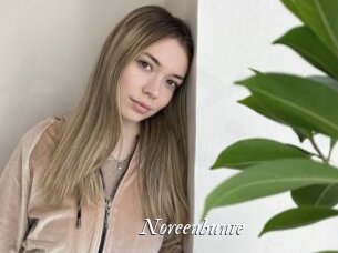 Noreenbunte