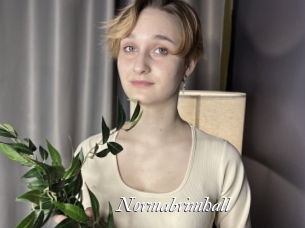 Normabrimhall
