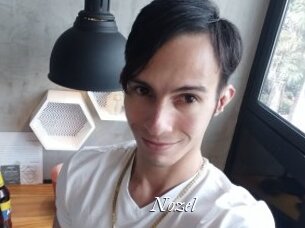 Nozel