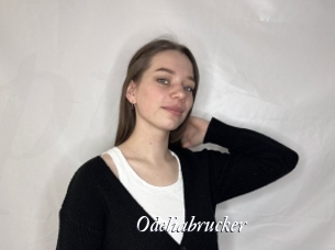 Odeliabrucker