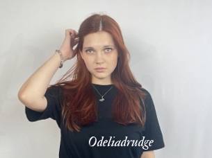 Odeliadrudge