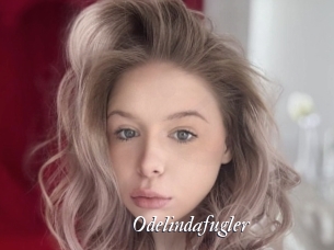 Odelindafugler