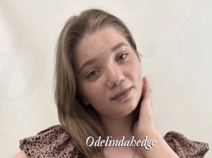 Odelindahedge