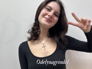 Odelynagrindel