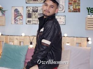 Owellbummer