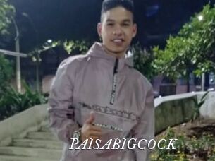 PAISABIGCOCK