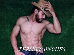 PERSEUS11INCHES