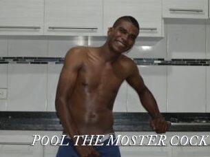 POOL_THE_MOSTER_COCK