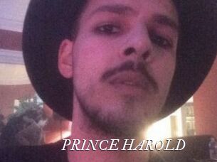 PRINCE_HAROLD Partouze