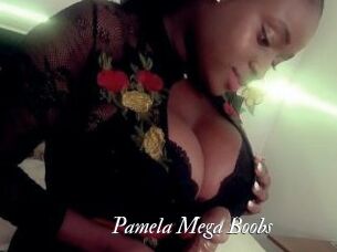 Pamela_Mega_Boobs