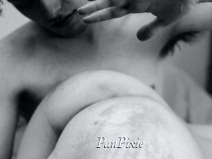 PanPixie