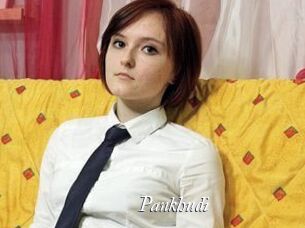 Pankhudi