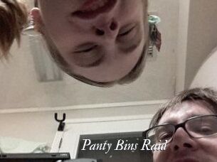 Panty_Bins_Raid