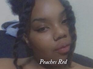 Peaches_Red Partouze