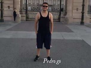 Pedro_go
