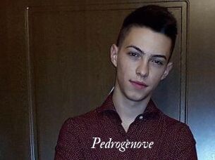 Pedrogenove