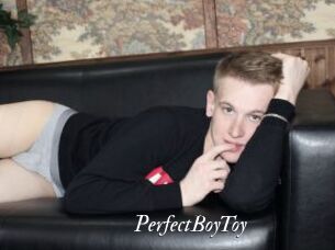 PerfectBoyToy
