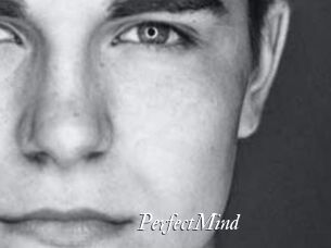 PerfectMind