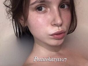 Pettitekitty1107