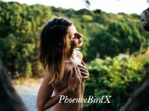 PhoenixBirdX Partouze