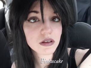 Pinkucake Partouze