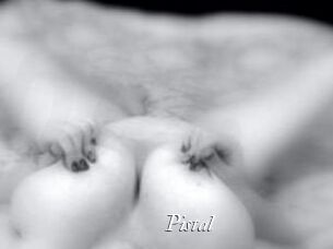 Pistal