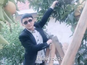 Playboy2020