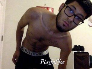 PlayfulJoe