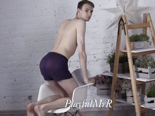 PlayfulMrR