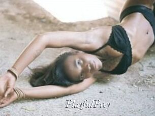 PlayfulPrey