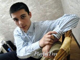 PlayfulTroy