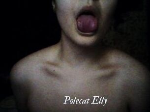 Polecat_Elly