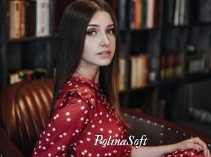 PolinaSoft