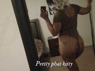 Pretty_phat_kitty