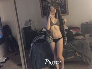 Puglvr