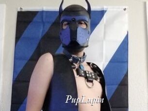PupLupin