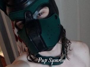Pup_Samson