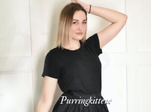 Purringkittene