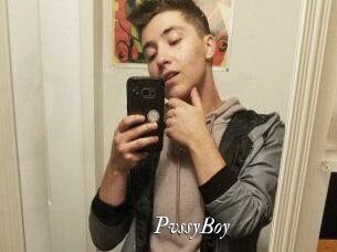 PvssyBoy