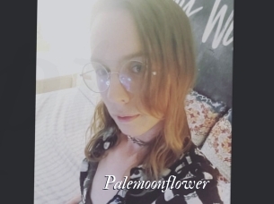 Palemoonflower