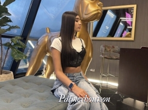 Palmerhoutson