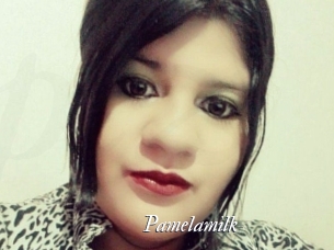pamelasuite Partouze