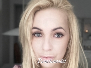 Pamelamodel