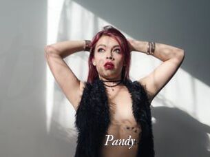 Pandy