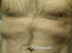 Pantybandit